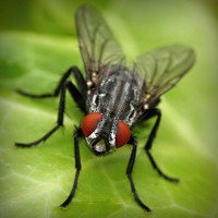 /album/vawaticanmost/photolia-a01-jpg/