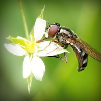 /album/vawaticanmost/photolia-a02-jpg/