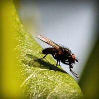 /album/vawaticanmost/photolia-a04-jpg/