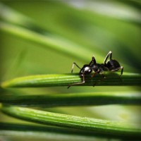 /album/vawaticanmost/photolia-a05-jpg/