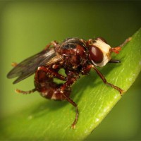 /album/vawaticanmost/photolia-a06-jpg/