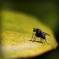 /album/vawaticanmost/photolia-a07-jpg/