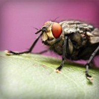 /album/vawaticanmost/photolia-a08-jpg/